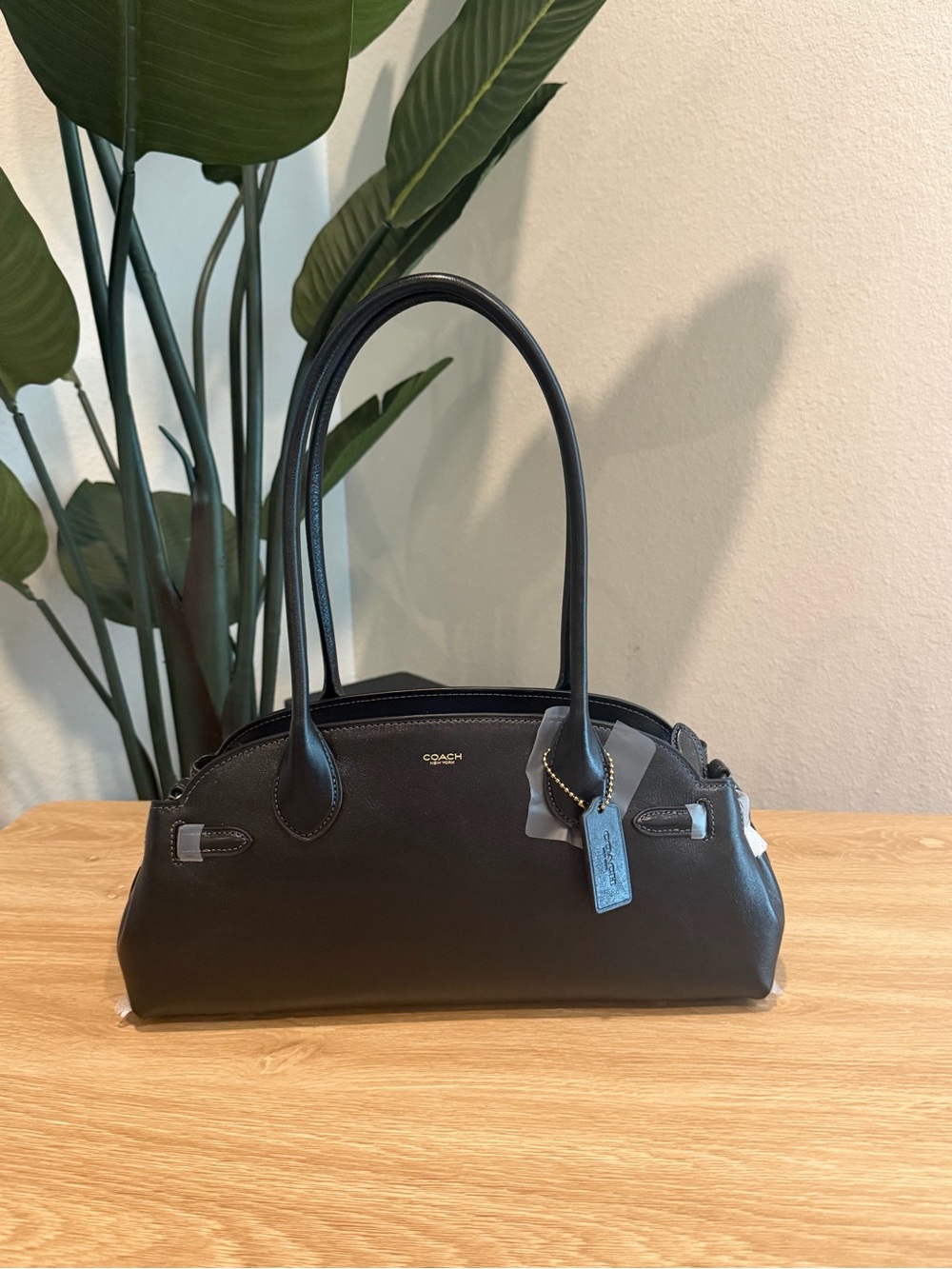 Coach Women's Empire Carryall Bag 34